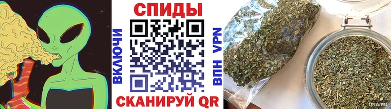 это наркотические препараты  Новое Девяткино  БУТИРАТ бутик 