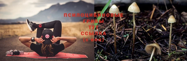 скорость mdpv Алексеевка