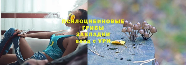 прущие крисы Алексин