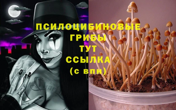 mdma Карталы