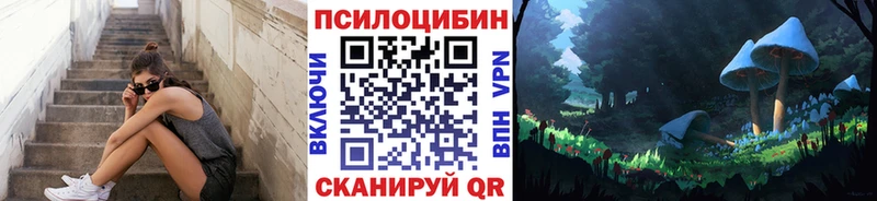 где купить наркотик  Новое Девяткино  Псилоцибиновые грибы GOLDEN TEACHER 